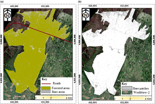 Details are in the caption following the image Details are in the caption following the image