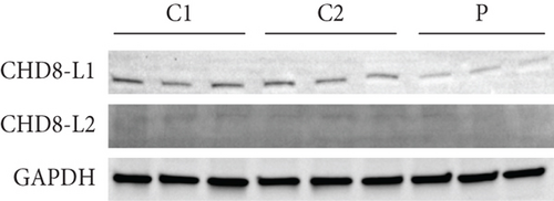 Details are in the caption following the image