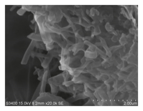 Details are in the caption following the image