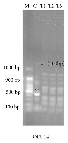 Details are in the caption following the image