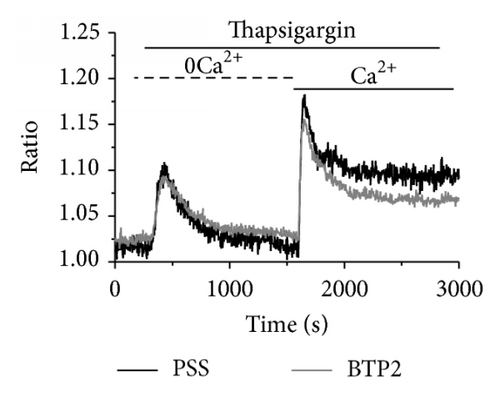 Details are in the caption following the image