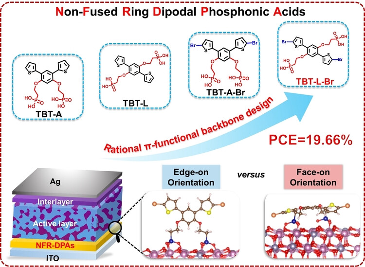 Configurational Isomerization-Induced Orientation Switching: Non-Fused Ring Dipodal Phosphonic Acids as Hole-Extraction Layers for Efficient Organic Solar Cells