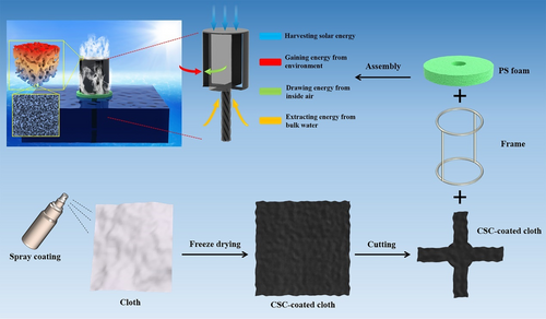 Details are in the caption following the image Details are in the caption following the image