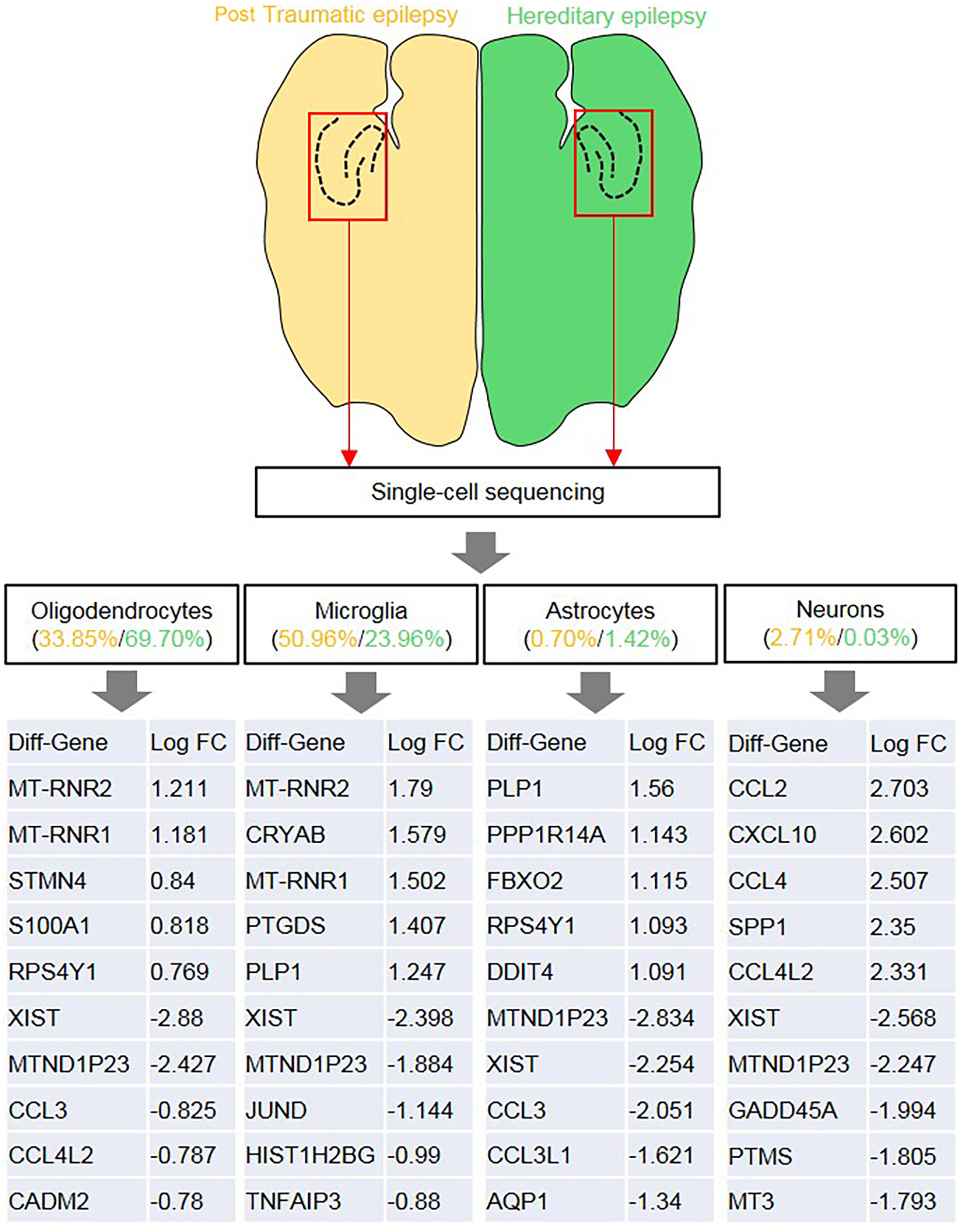 Molecular mechanism analyses of post-traumatic epilepsy and hereditary epilepsy based on 10× single-cell transcriptome sequencing technology