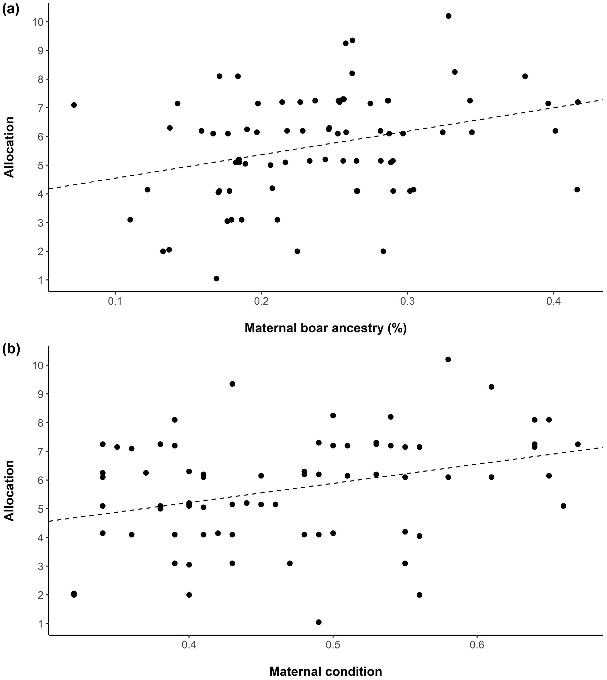 Variance in offspring sex ratio and maternal allocation in a highly invasive mammal
