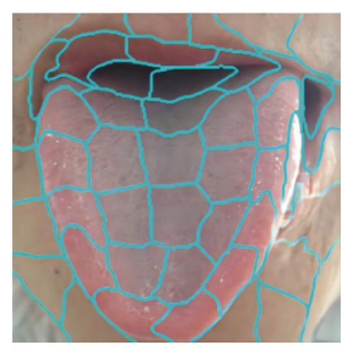Details are in the caption following the image Details are in the caption following the image