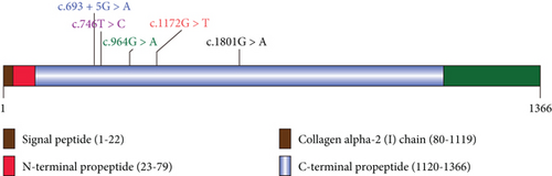Details are in the caption following the image