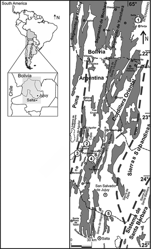 Details are in the caption following the image Details are in the caption following the image