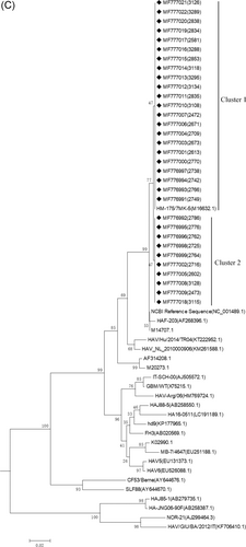 Details are in the caption following the image Details are in the caption following the image
