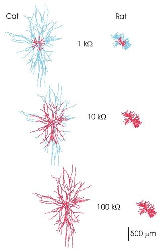 Details are in the caption following the image