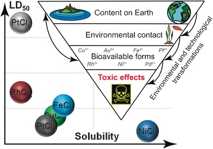 Which Metals are Green for Catalysis? Comparison of the Toxicities of Ni, Cu, Fe, Pd, Pt, Rh, and Au Salts