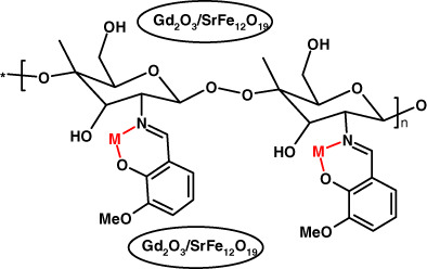Novel Gd2O3/SrFe12O19@Schiff base chitosan (Gd/SrFe@SBCs) nanocomposite as a novel magnetic sorbent for the removal of Pb(II) and Cd(II) ions from aqueous solution