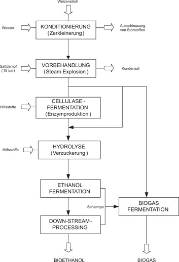Untersuchungen zur Herstellung von Bioethanol und Biogas aus Lignocelluloserohstoffen nach Vorbehandlung mit Steam Explosion und Cellulasen
