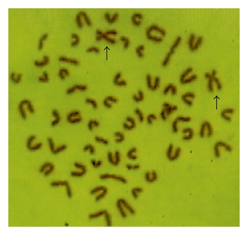 Details are in the caption following the image