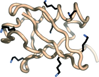 Carpe Diubiquitin