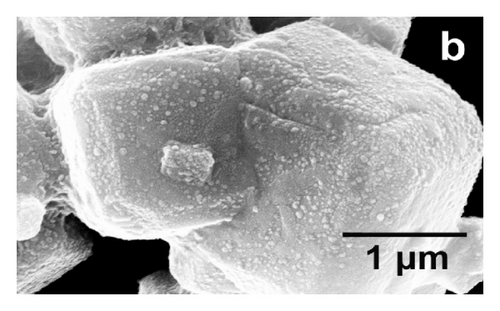 Details are in the caption following the image