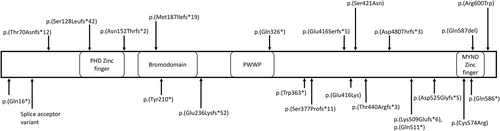 Details are in the caption following the image Details are in the caption following the image