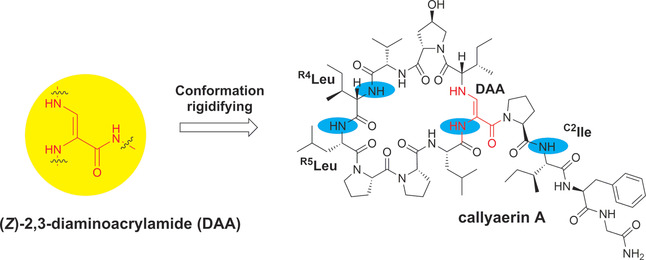 Total Synthesis and Conformational Study of Callyaerin A: Anti-Tubercular Cyclic Peptide Bearing a Rare Rigidifying (Z)-2,3- Diaminoacrylamide Moiety