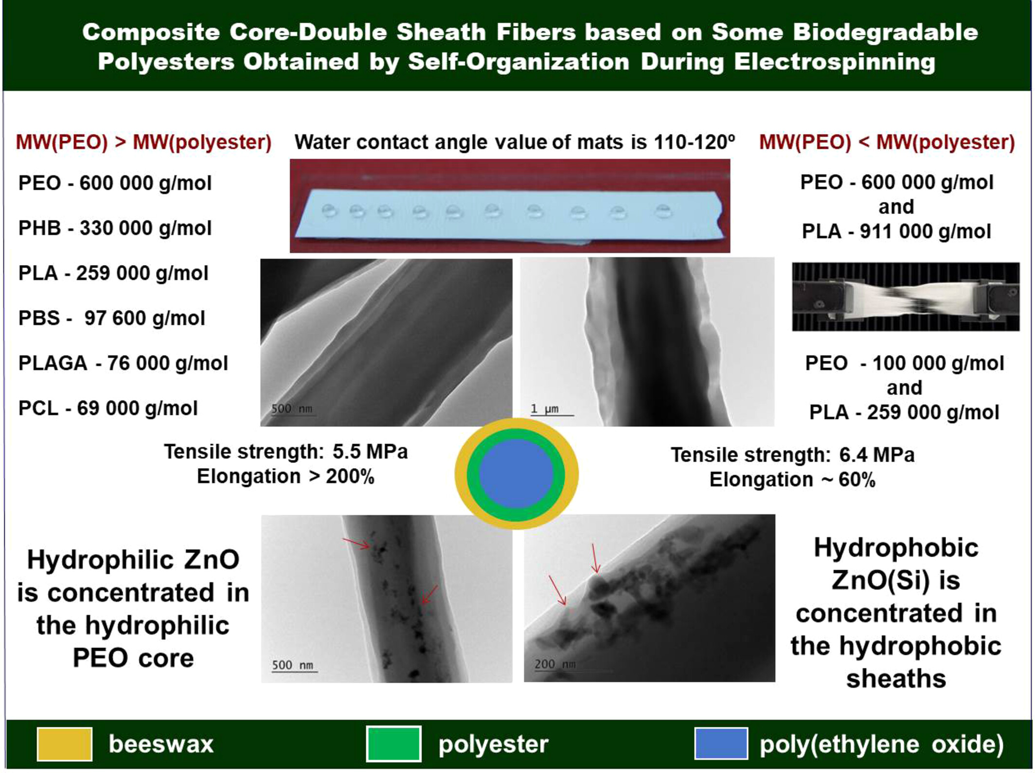 Composite core-double sheath fibers based on some biodegradable polyesters obtained by self-organization during electrospinning