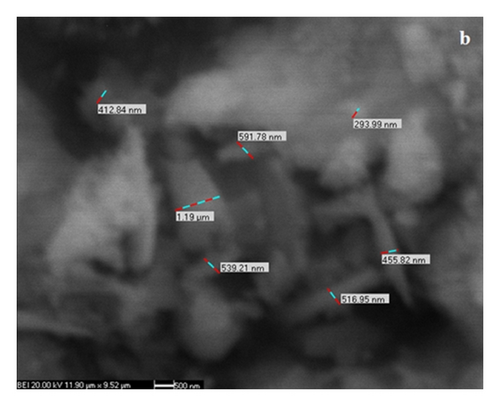 Details are in the caption following the image