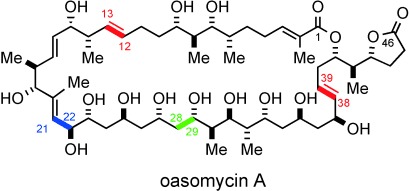 Enantioselective Synthesis of Oasomycin A, Part I: Synthesis of the C1–C12 and C13–C28 Subunits