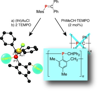 Isomerization Polymerization of the Phosphaalkene MesPCPh2: An Alternative Microstructure for Poly(methylenephosphine)s