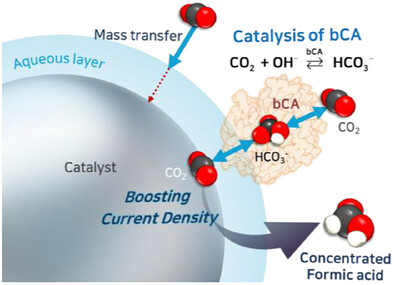 Boosting Current Density of Electrocatalytic CO2 Reduction using Metal–Enzyme Hybrid Cathodes