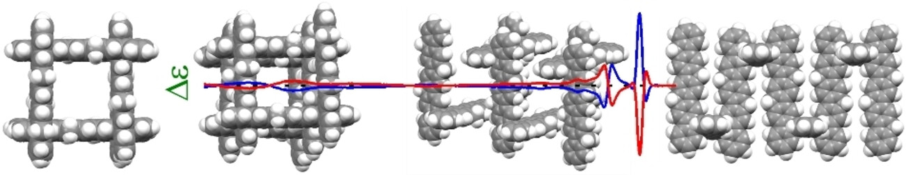 Circularly Polarized Light Probes Excited-State Delocalization in Rectangular Ladder-type Pentaphenyl Helices