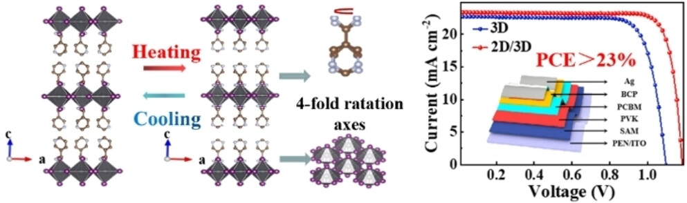 Rational Design of Ferroelectric 2D Perovskite for Improving the Efficiency of Flexible Perovskite Solar Cells Over 23 %