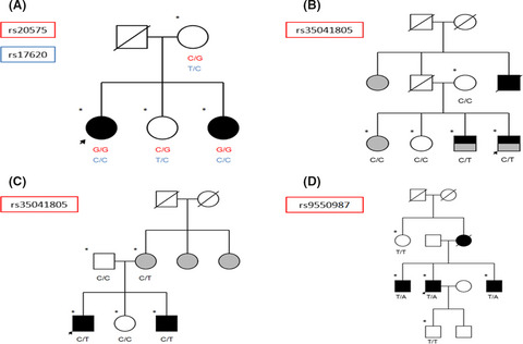 Variants of genes encoding TNF receptors and ligands and proteins regulating TNF activation in familial multiple sclerosis