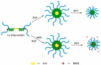 Disulfide-centered star-shaped polypeptide-PEO block copolymers for reduction-triggered drug release