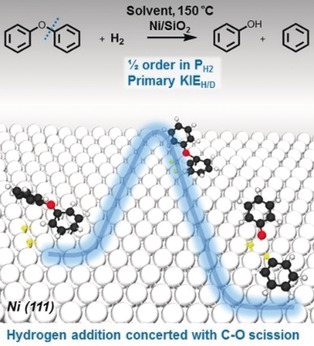 The Critical Role of Reductive Steps in the Nickel-Catalyzed Hydrogenolysis and Hydrolysis of Aryl Ether C−O Bonds