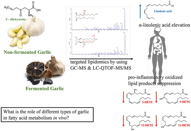 Garlic Supplementation Modified Enzymatic Omega-6 Polyunsaturated Fatty Acid Oxidation in Mild Hypercholesterolemia