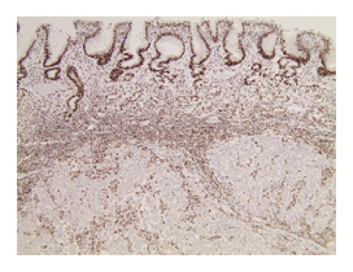 Details are in the caption following the image