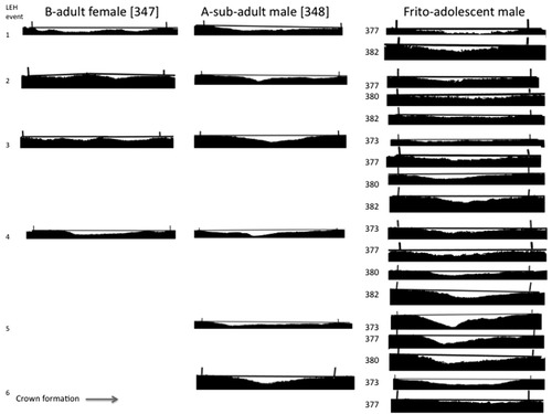 Details are in the caption following the image Details are in the caption following the image