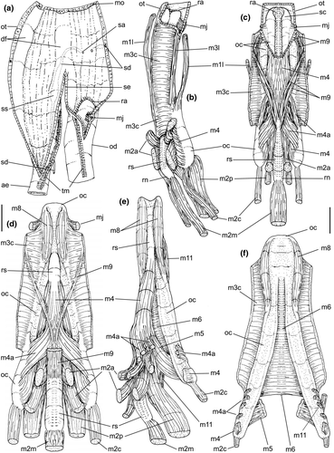 Details are in the caption following the image Details are in the caption following the image
