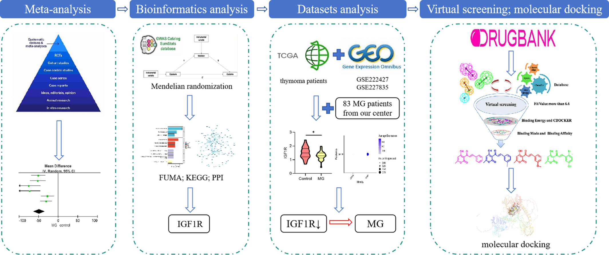 Comprehensive Analysis of Uric Acid and Myasthenia Gravis: IGF1R as a Protective Factor and Potential Therapeutic Target