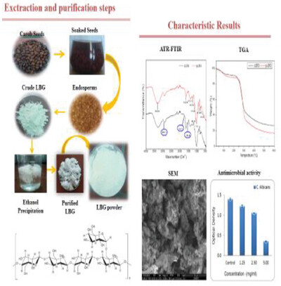 Extraction, Purification, and Characterization of Galactomannan From Algerian Carob Seeds