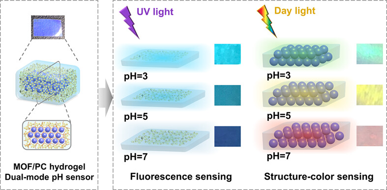 Dual-mode color-changing pH sensor based on fluorescent MOF embedded photonic crystal hydrogel
