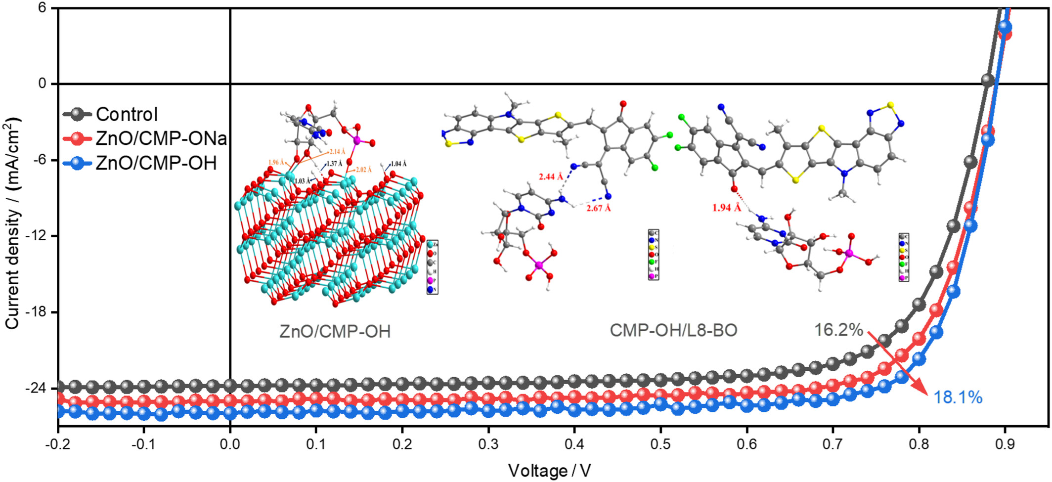 Multi-site Passivation of ZnO Metal Oxides via Biomolecules for Efficient and Highly Stable Organic Solar Cells