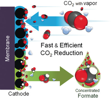 Catholyte-Free Electrocatalytic CO2 Reduction to Formate