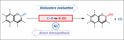 Direct Conversion of Aromatic Lactones into Bioisosteres by Carbonyl-to-Boranol Exchange