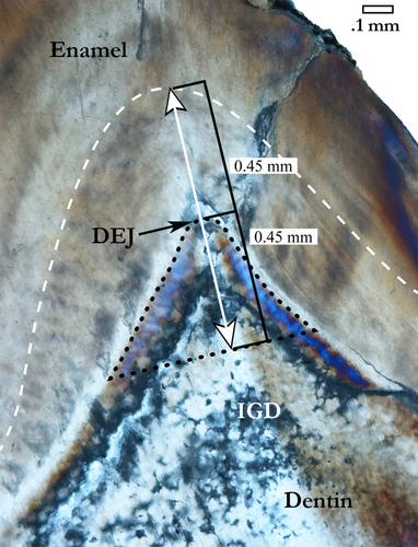 Details are in the caption following the image