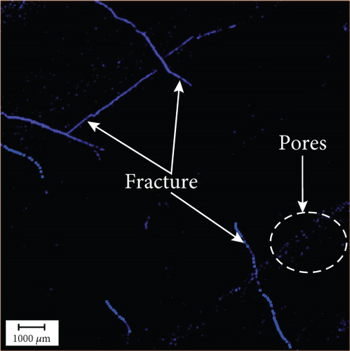 Details are in the caption following the image Details are in the caption following the image