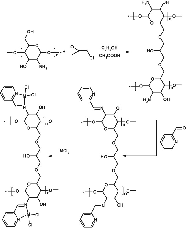 New chitosan modified with epichlohydrin and bidentate Schiff base applied to removal of Pb2+ and Cd2+ ions