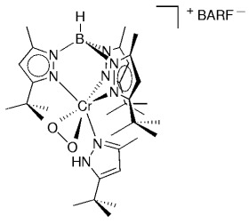 A Structurally Characterized Chromium(III) Superoxide Complex Features “Side-on” Bonding