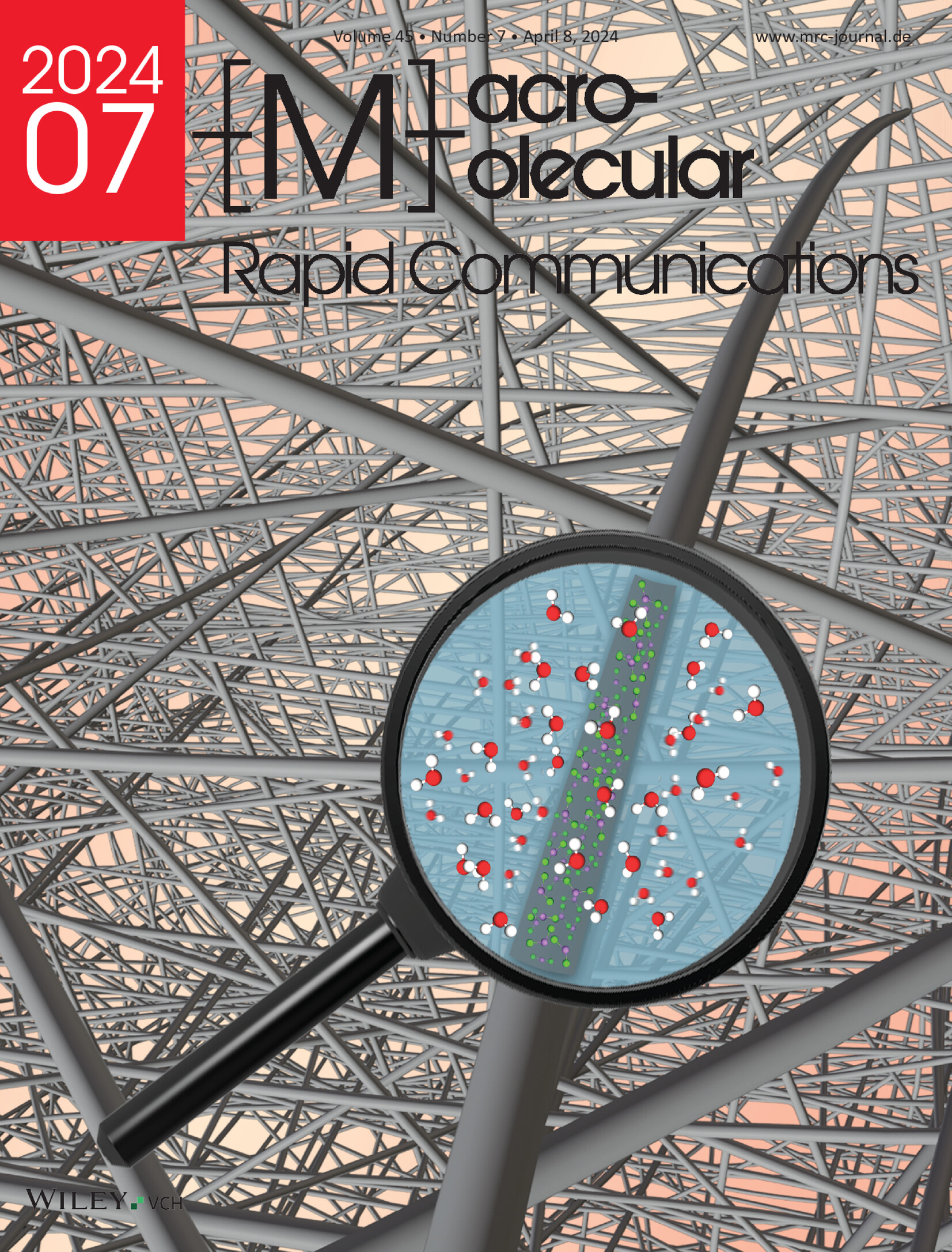 Formation of Three-Dimensional Polysuccinimide Electrospun Fiber Meshes Induced by the Combination of CaCl2 and Humidity Volume 45 Issue 7, 2024