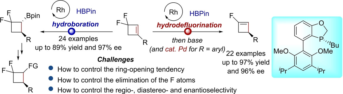 Diversified Synthesis of Chiral Fluorinated Cyclobutane Derivatives Enabled by Regio- and Enantioselective Hydroboration