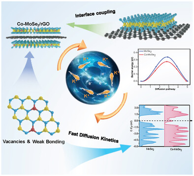 Dynamic Electronic and Ionic Transport Actuated by Cobalt-Doped MoSe2/rGO for Superior Potassium-Ion Batteries