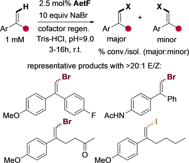 Selective C−H Halogenation of Alkenes and Alkynes Using Flavin-Dependent Halogenases